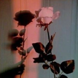 Meet your Posher, Kennedy